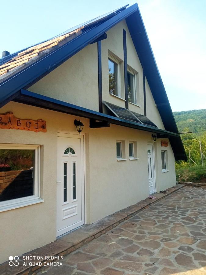 Zavojsko Jezero - Vila Jezero Pirot Esterno foto