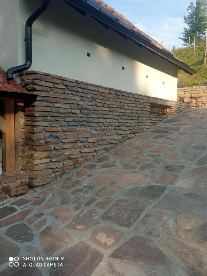 Zavojsko Jezero - Vila Jezero Pirot Esterno foto